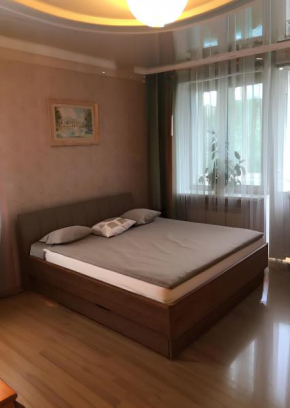 Entire apartment in the city center